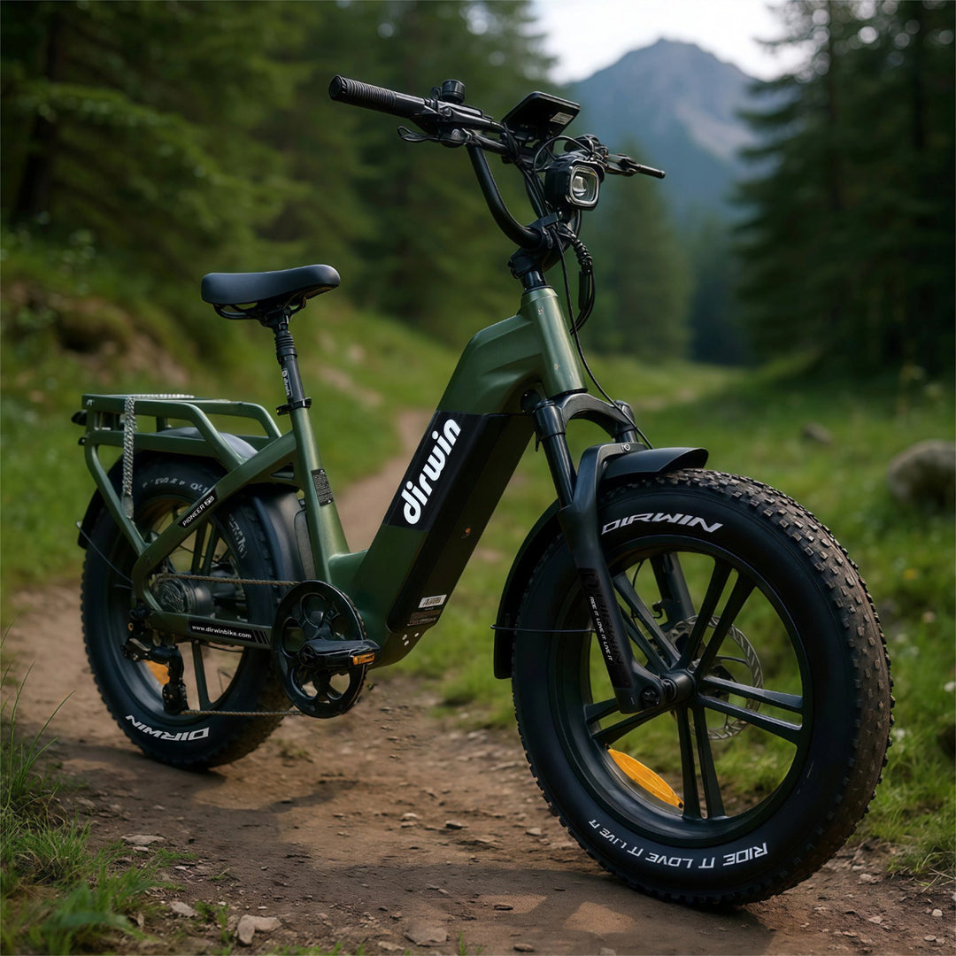 How do Dirwin eBikes compare to traditional mountain bikes?