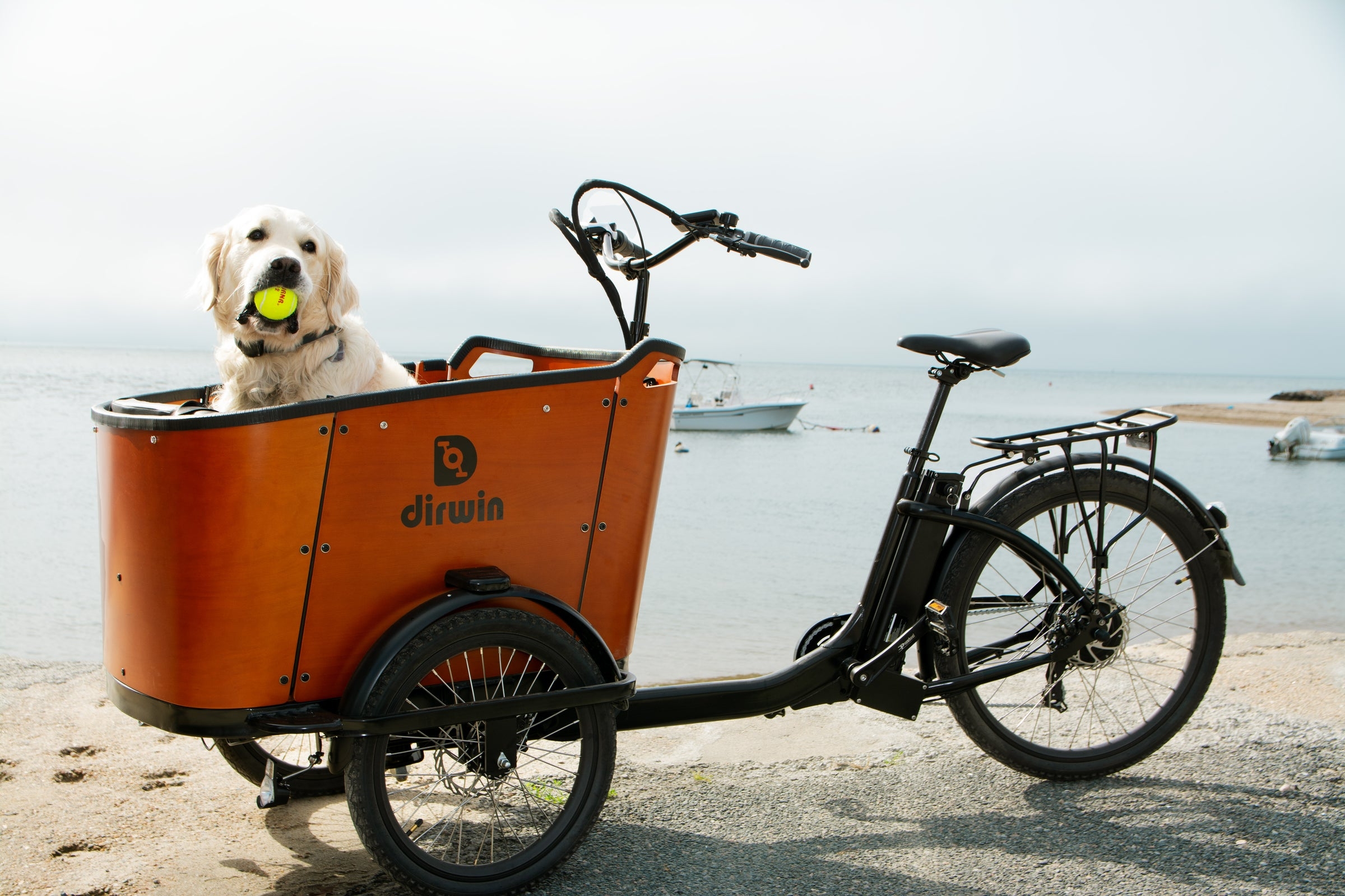 How does the Pioneer Plus perform on steep trails and backcountry terrain?