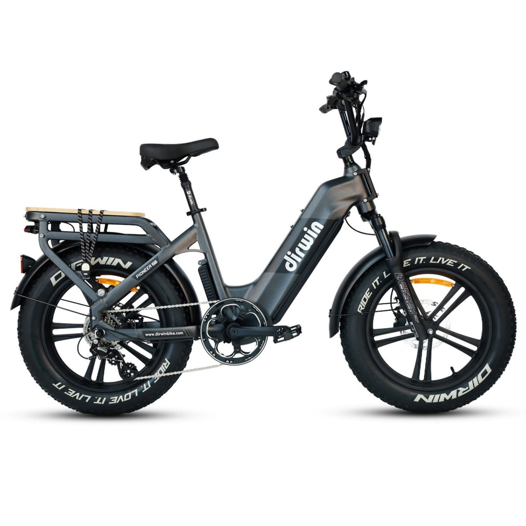 Are Dirwin eBikes quiet enough for game approach?